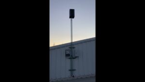 como-espantar-a-las-gaviotas-de-los-tejados