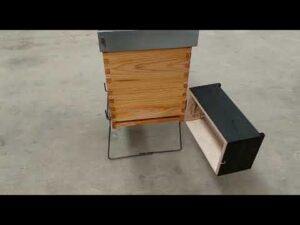 Guía paso a paso: Cómo hacer un protector de colmenas efectivo para la velutina como-hacer-un-protector-de-colmenas-para-la-velutina