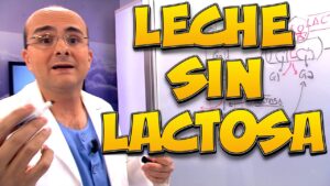 Descubre la Mejor Leche Sin Lactosa: Guía Definitiva de Productos Recomendados cual-es-la-mejor-leche-sin-lactosa