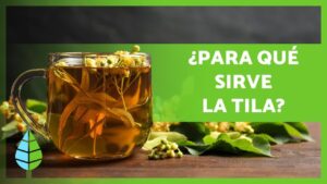 cuanto-tarda-en-hacer-efecto-una-tila