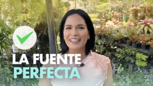 Descubre las Mejores Fuentes Naturales de Agua Cerca de Ti: ¡Disfruta del Oasis que te Ofrece la Naturaleza! fuentes-naturales-de-agua-cerca-de-mi