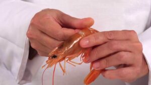 Descubre la razón por la que los langostinos a la plancha no se pelan bien: soluciones infalibles porque-no-se-pelan-bien-los-langostinos-a-la-plancha