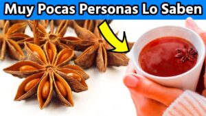 Descubre la Tradición de Beber Ribeiro en Taza: Razones y Beneficios porque-se-bebe-el-ribeiro-en-taza