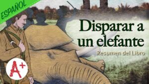 un-elefante-na-sala-de-estar-resumen