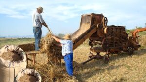 venta-de-maquinaria-agri­cola-por-cese-de-actividad-en-galicia
